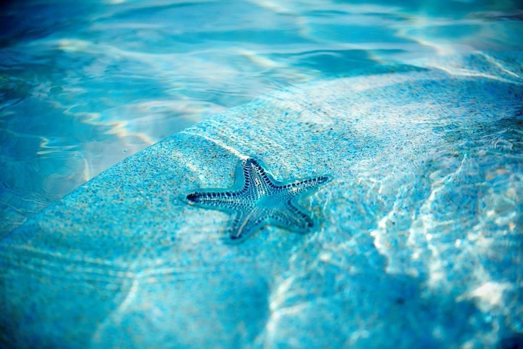 Warwick Paradise Island Bahamas (Adults Only) Нассау Екстер'єр фото